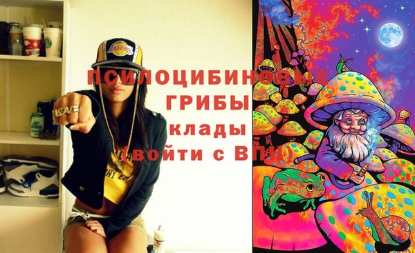 дурь Алзамай