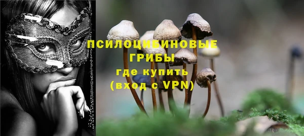 гидра Алексин