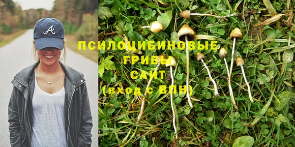 герыч Абинск